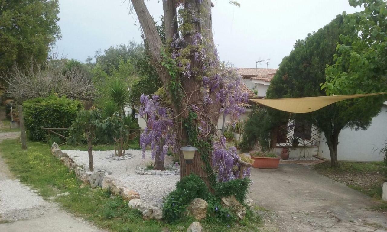 Villa Il Nido Delle Gazze Marina di Camerota Exterior foto